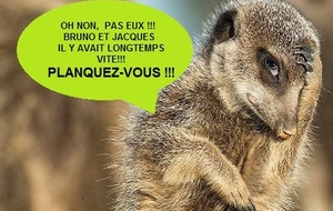 Préaux à Mesnil-Esnard