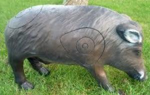 Championnat de Normandie 3D