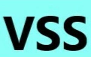 V S S