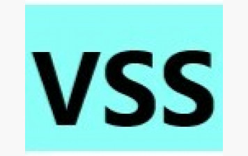 V S S