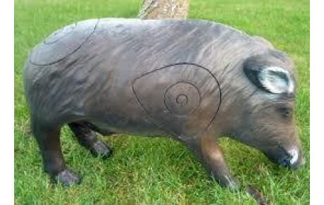 Championnat de Normandie 3D