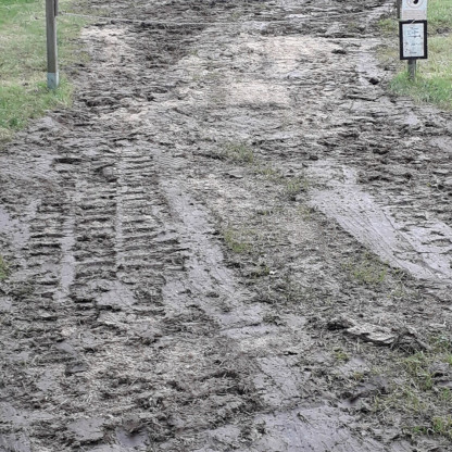 Terrain