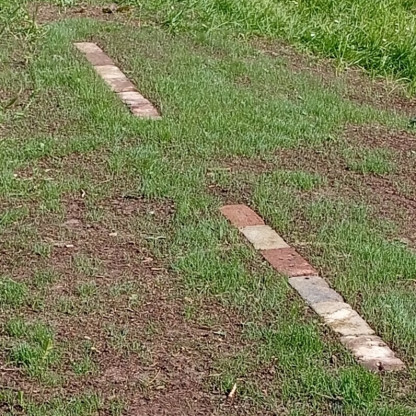 Terrain