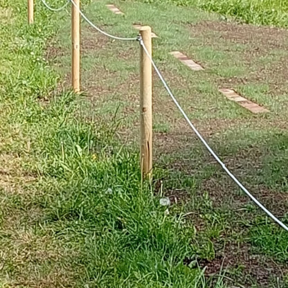 Terrain