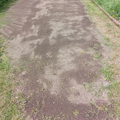 Terrain
